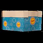 Frigeo Traubenzucker Lolly Kettenpacks 3-fach 32 x 8 x 7,5 g