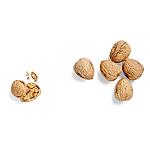 Seeberger Walnüsse Jumbo 500g