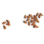 Seeberger Mandeln geröstet und gesalzen 150g