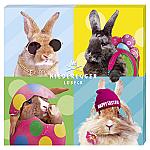 Niederegger Selection "Rabbits" 100g