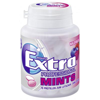 Wrigley's EXTRA® PROFESSIONAL Can Mints Forest Fruit 70 Dragées