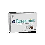 Fazermint Box 150g - Chocolate Pralines